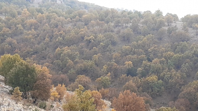 Derbent Dağları'na sonbahar geldi