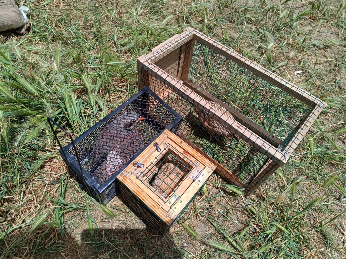 A A 20250526 38083911 38083903 S A N D I K L I D A F E R M A L I A V K O P E K L E R I M E R A Y A R I S M A S I D U Z E N L E N D I