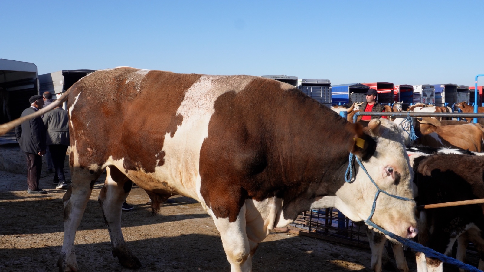 Whatsapp Image 2025 05 28 At 18.45.34