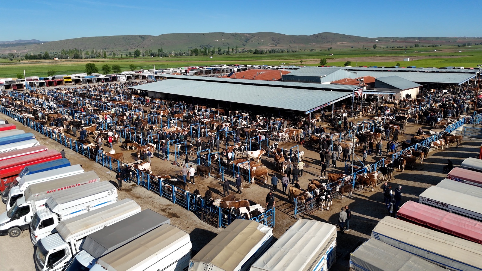 Whatsapp Image 2025 05 28 At 18.45.35