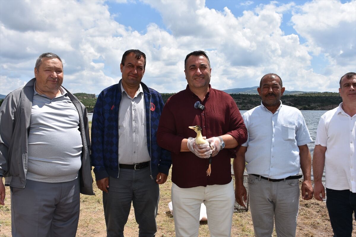 Afyon'da Frigya Sulama Göleti’ne 100 Ördek Bırakıldı