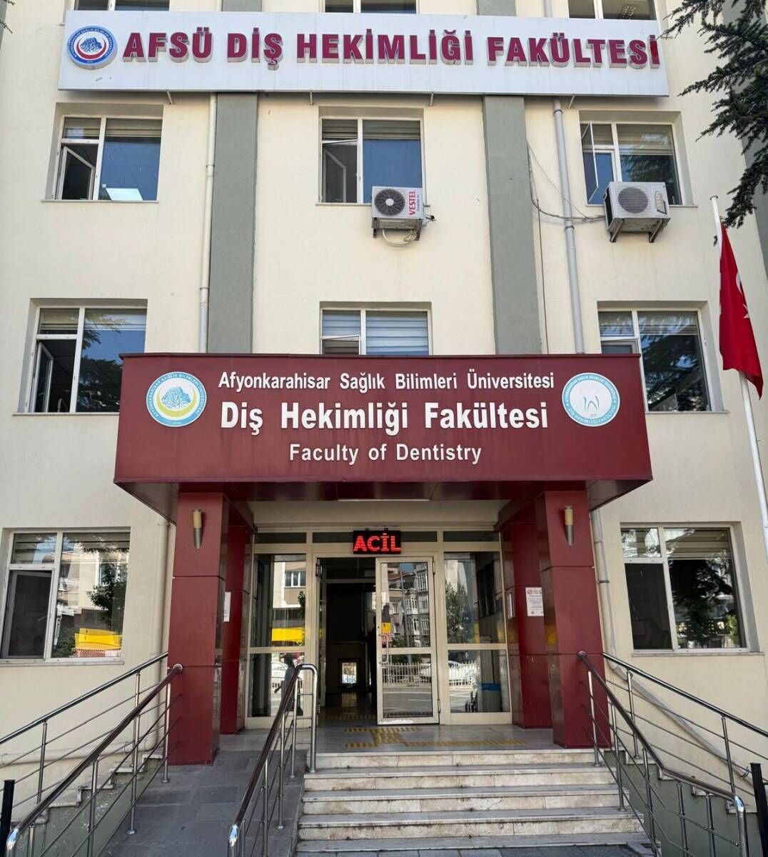 Dhf 07