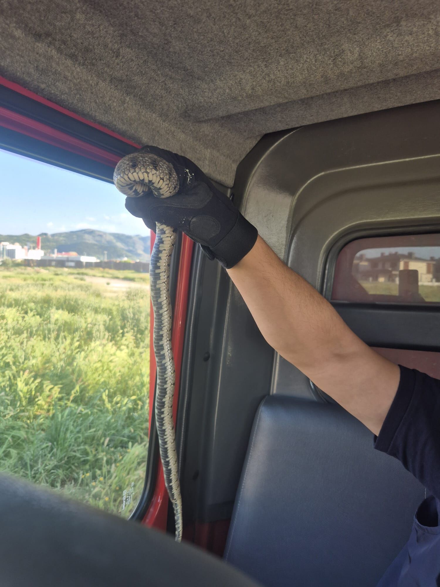 Afyon'da evde yılan paniği: Gören şok oldu!