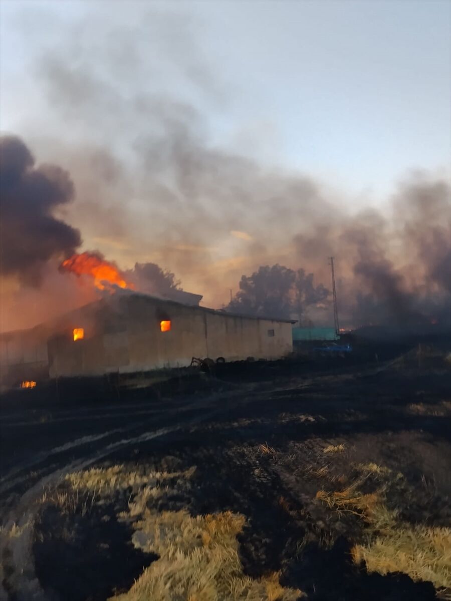 Afyon Sandıklı'da bağ evi ve besihanede yangın: Otlar tutuştu, yangın bağ evine sıçradı!