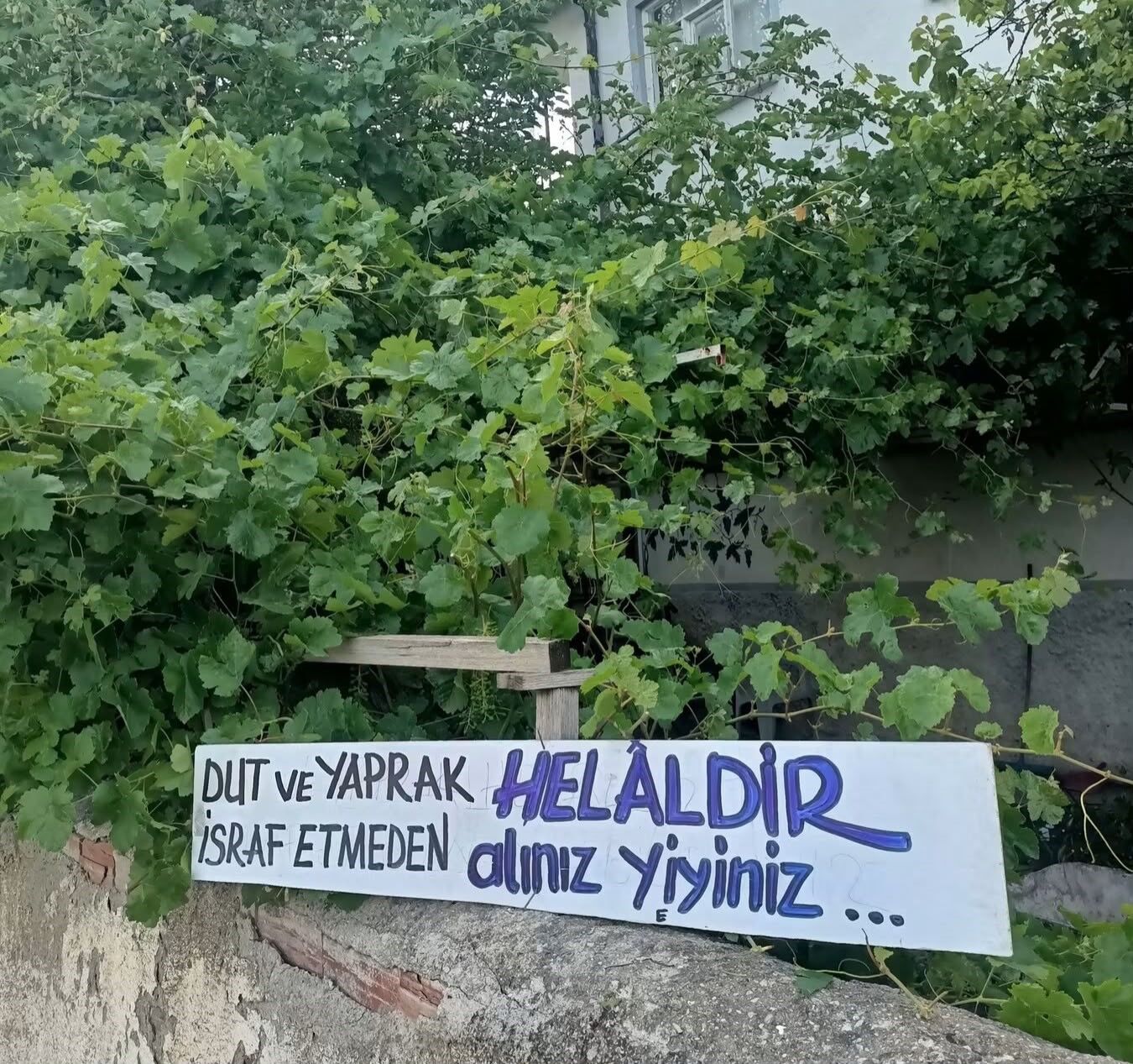 Afyon’da eski belediye başkanından anlamlı jest: Bahçe duvarına yazdığı yazı herkesi şaşırttı