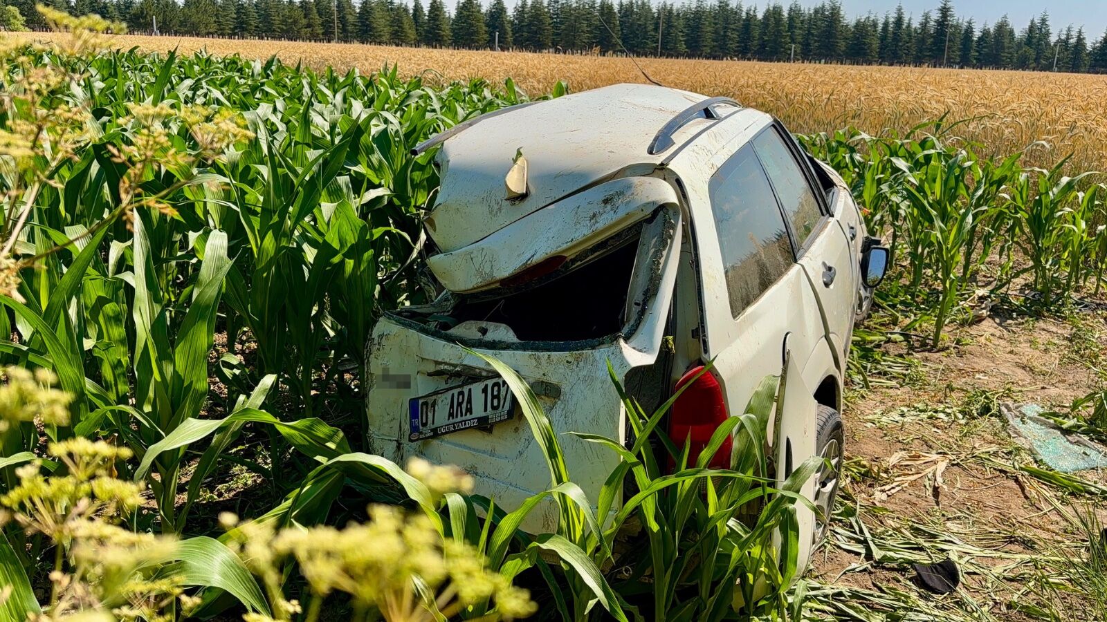 Afyon'da kargo aracı otomobille çarpıştı: Yaralılar var! Kargolar çevreye dağıldı