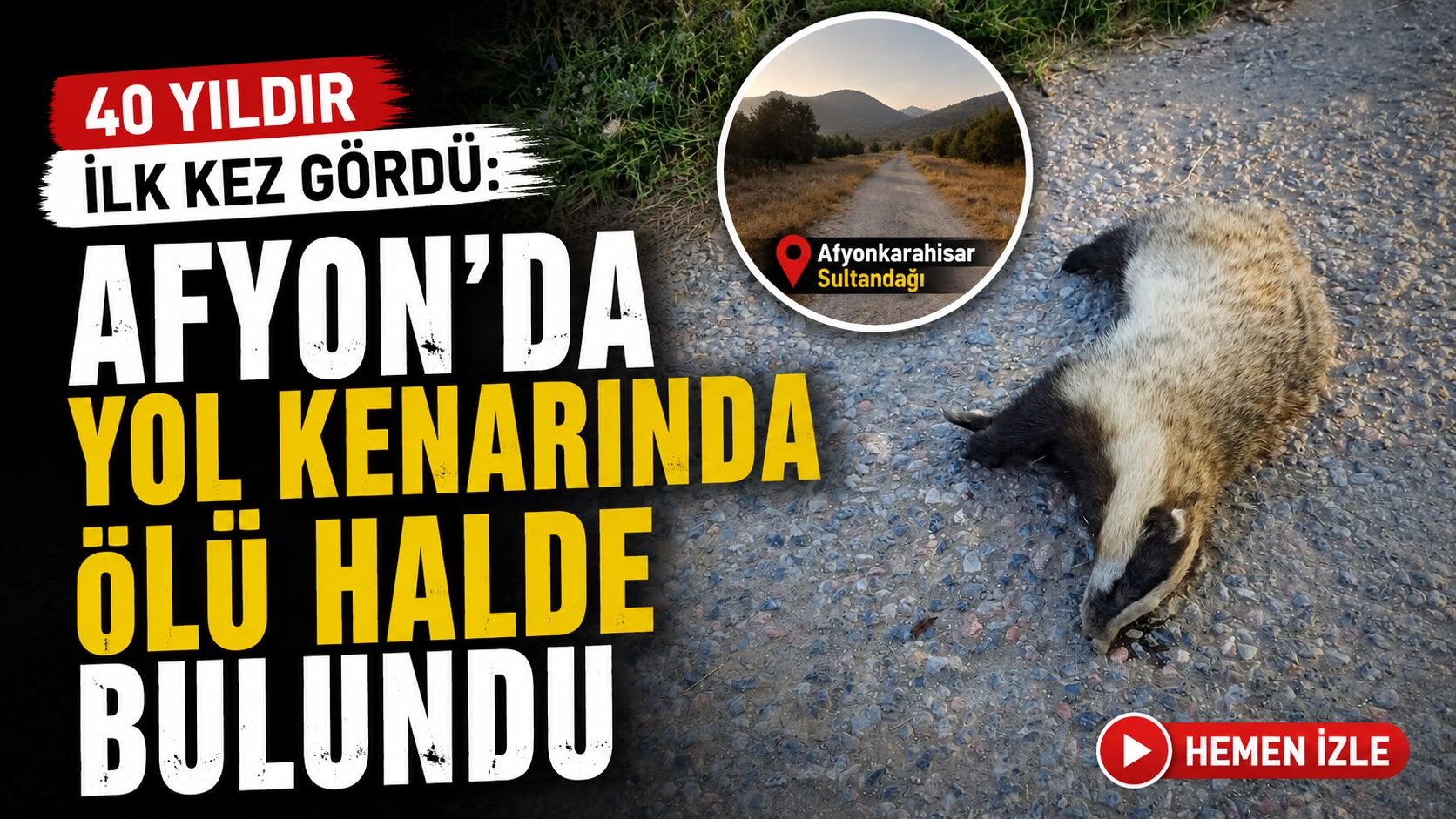 40 yıldır ilk kez gördü: Afyon’da yol kenarında ölü halde bulundu