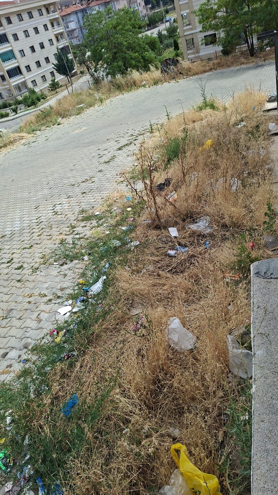 Whatsapp Image 2026 07 27 At 14.35.40 2