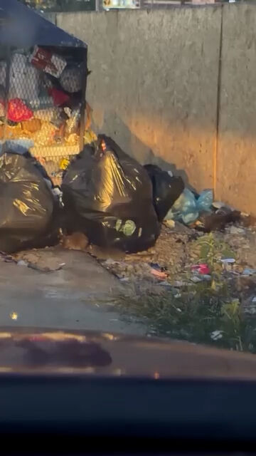 Whatsapp Video 2026 07 16 At 22.45.43.00 00 04 03.Still002