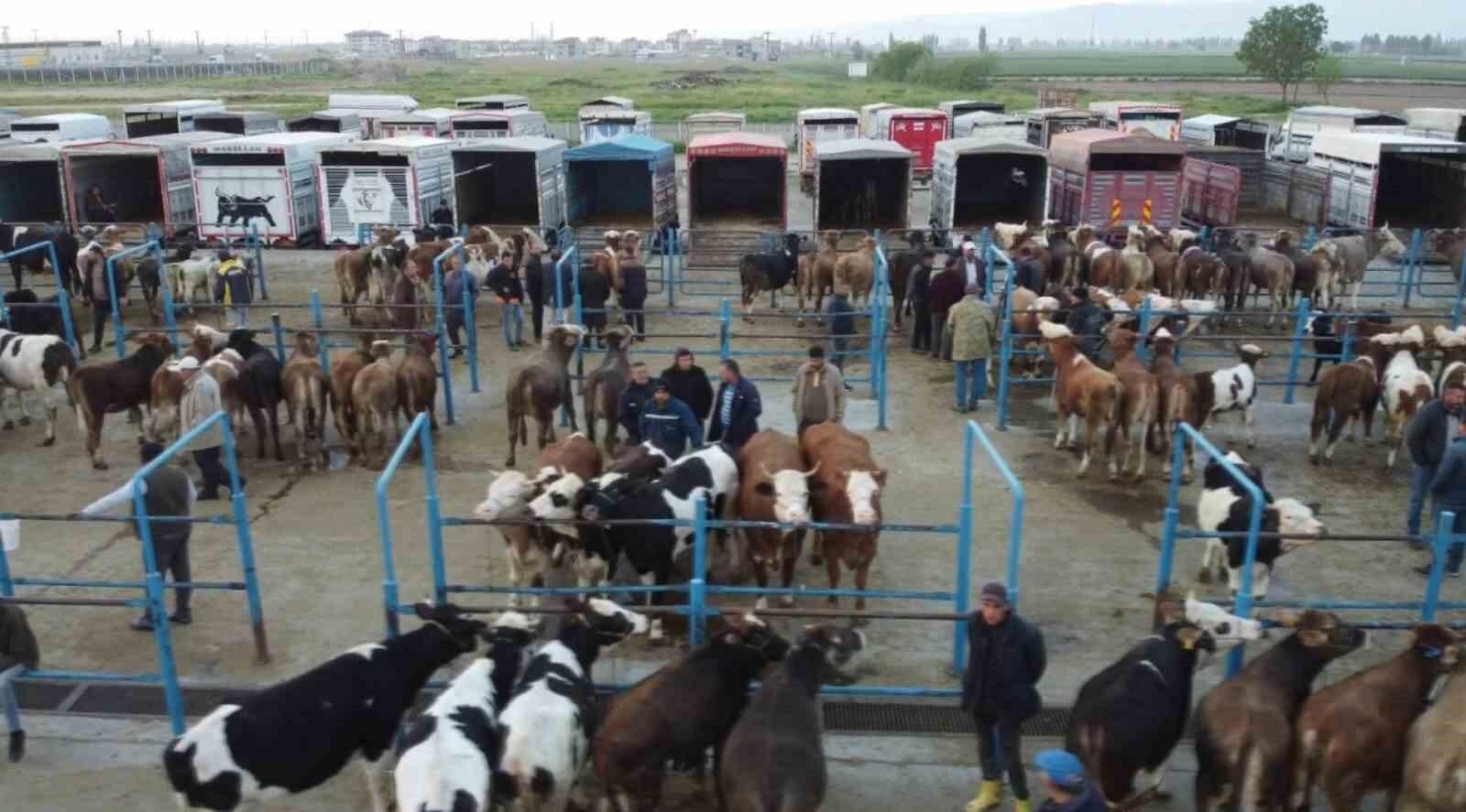 Afyon’da yetiştiricileri ilgilendiren karar: Çayırbağ Hayvan Pazarı kapandı