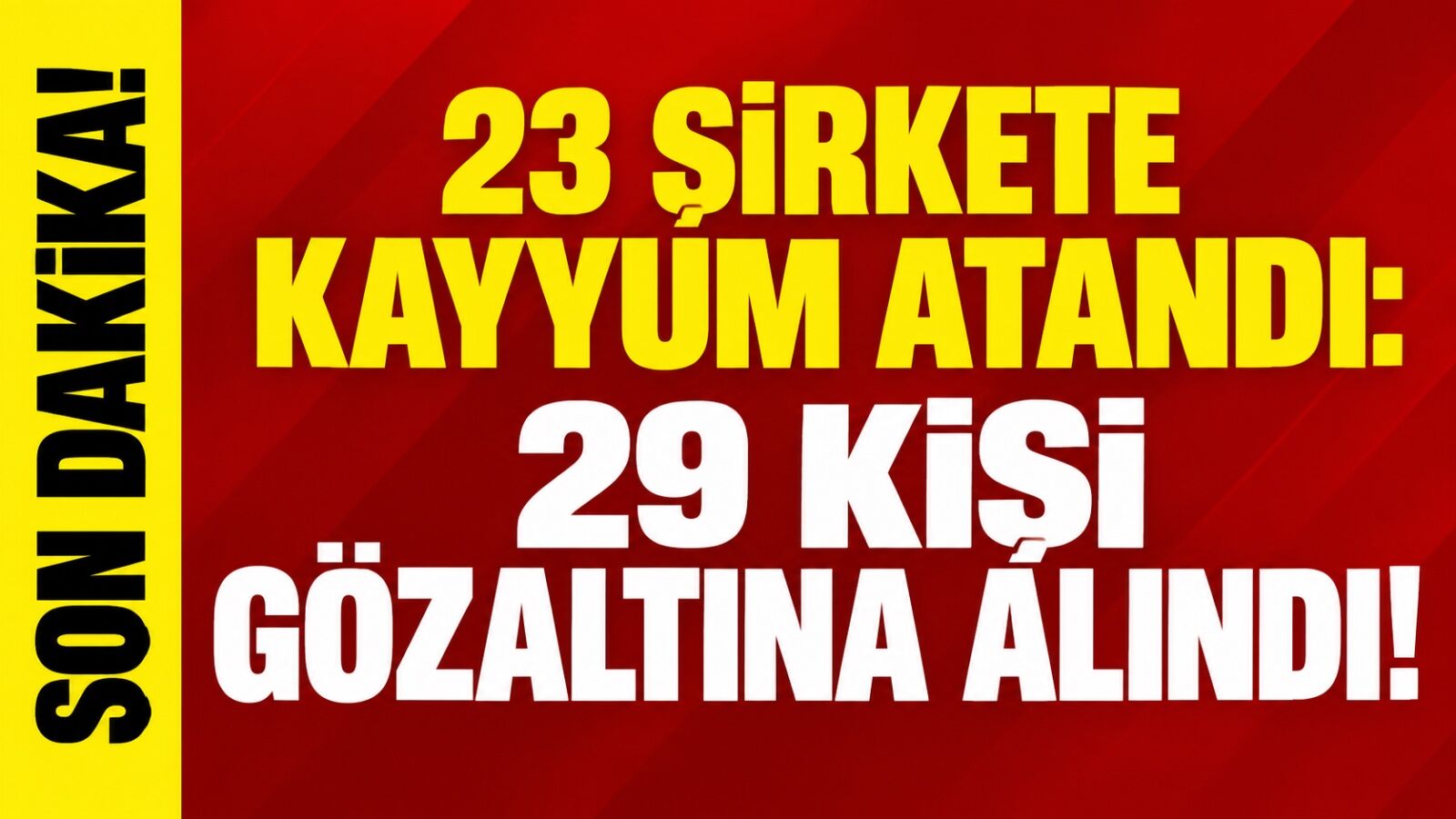23 şirkete kayyum atandı: 29 kişi gözaltına alındı!
