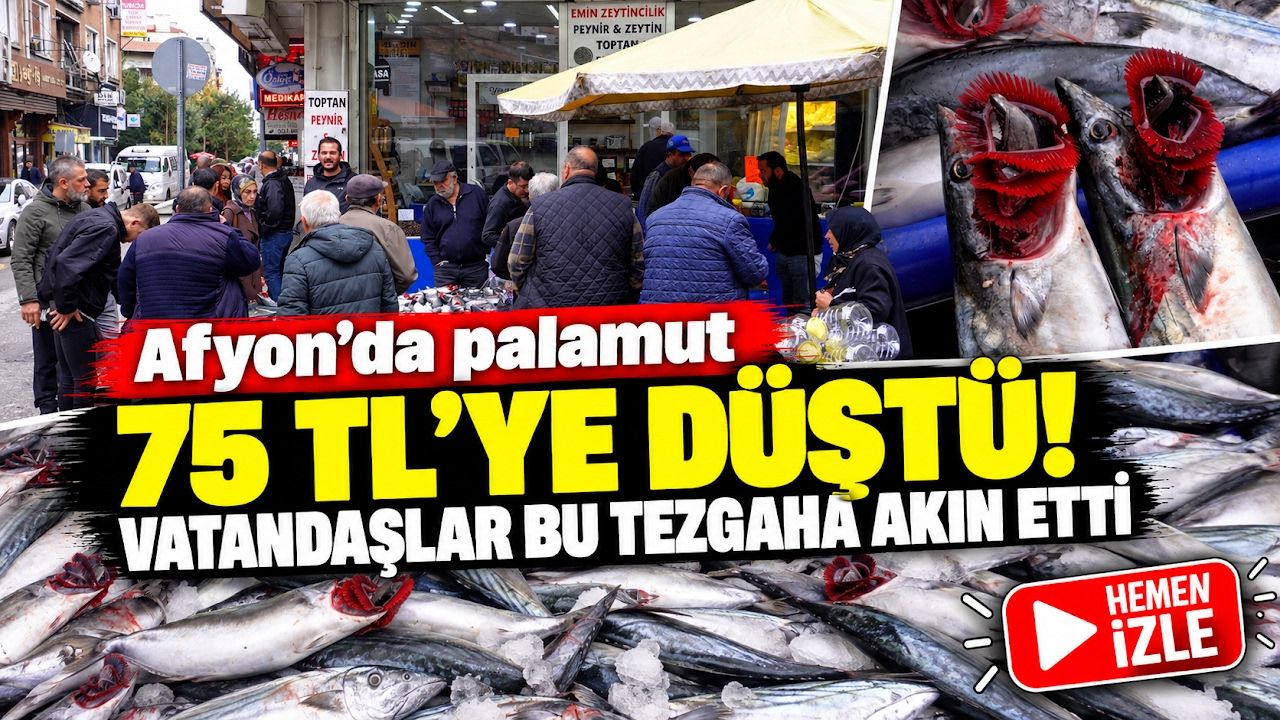 Afyon'da palamut 75 TL'ye düştü! Vatandaşlar bu tezgâha akın etti