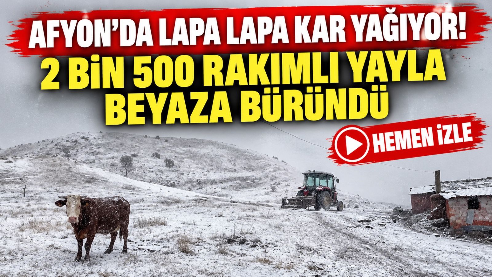 Afyon'da lapa lapa kar yağıyor! 2 bin 500 rakımlı yayla beyaza büründü