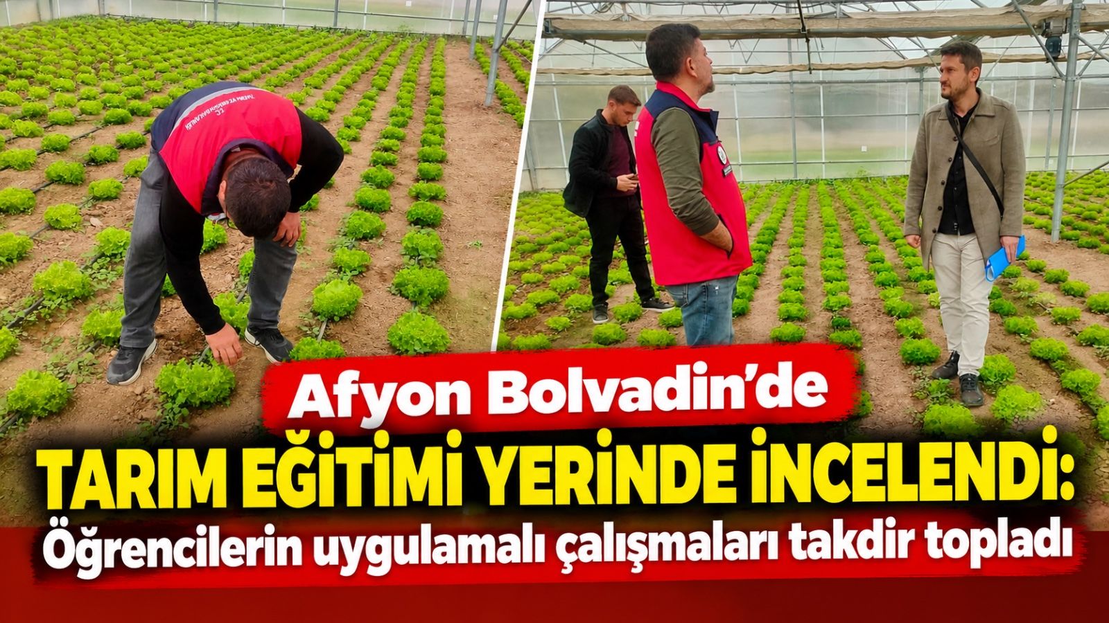 Afyon Bolvadin'de tarım eğitimi yerinde incelendi: Öğrencilerin uygulamalı çalışmaları takdir topladı