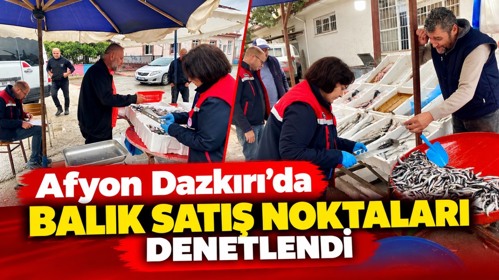 Afyon Dazkırı'da balık satış noktaları denetlendi