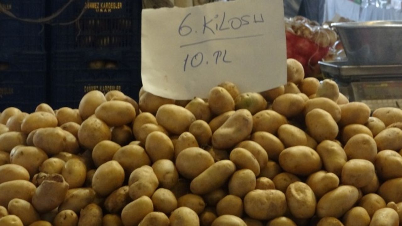 Afyon'da bu sene 550 bin ton patates üretimi bekleniyor