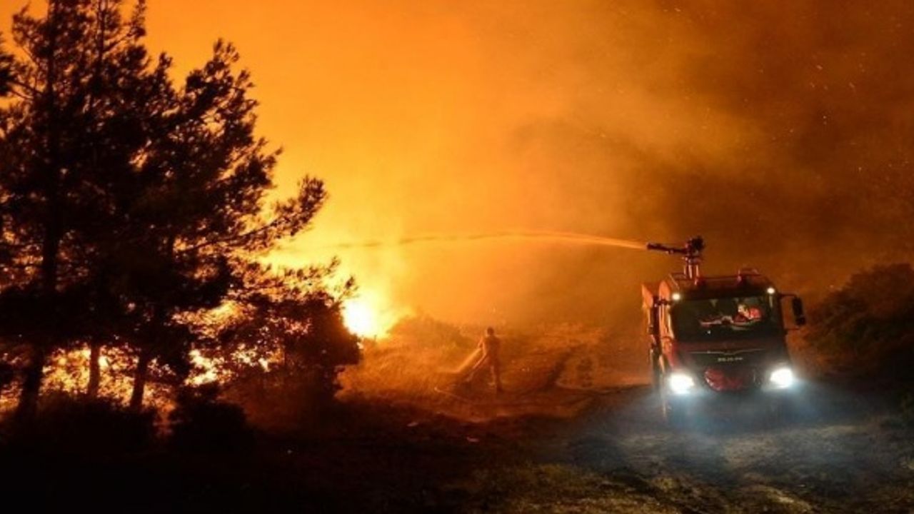 Afyon'da ormanlık alanda ateş yakmak yasaklandı!