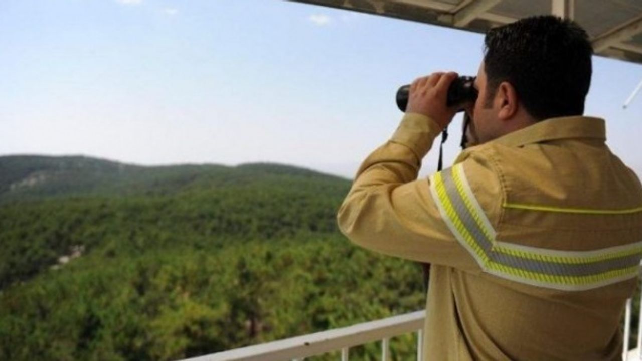 Orman Genel Müdürlüğü kadrolu 700 işçi alıyor