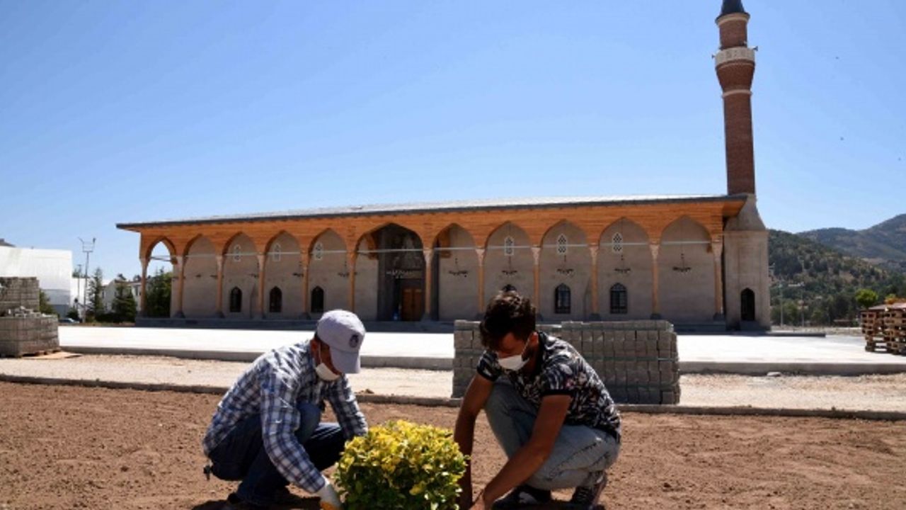 Paşa Camii'nde ağaçlandırma çalışması sürüyor