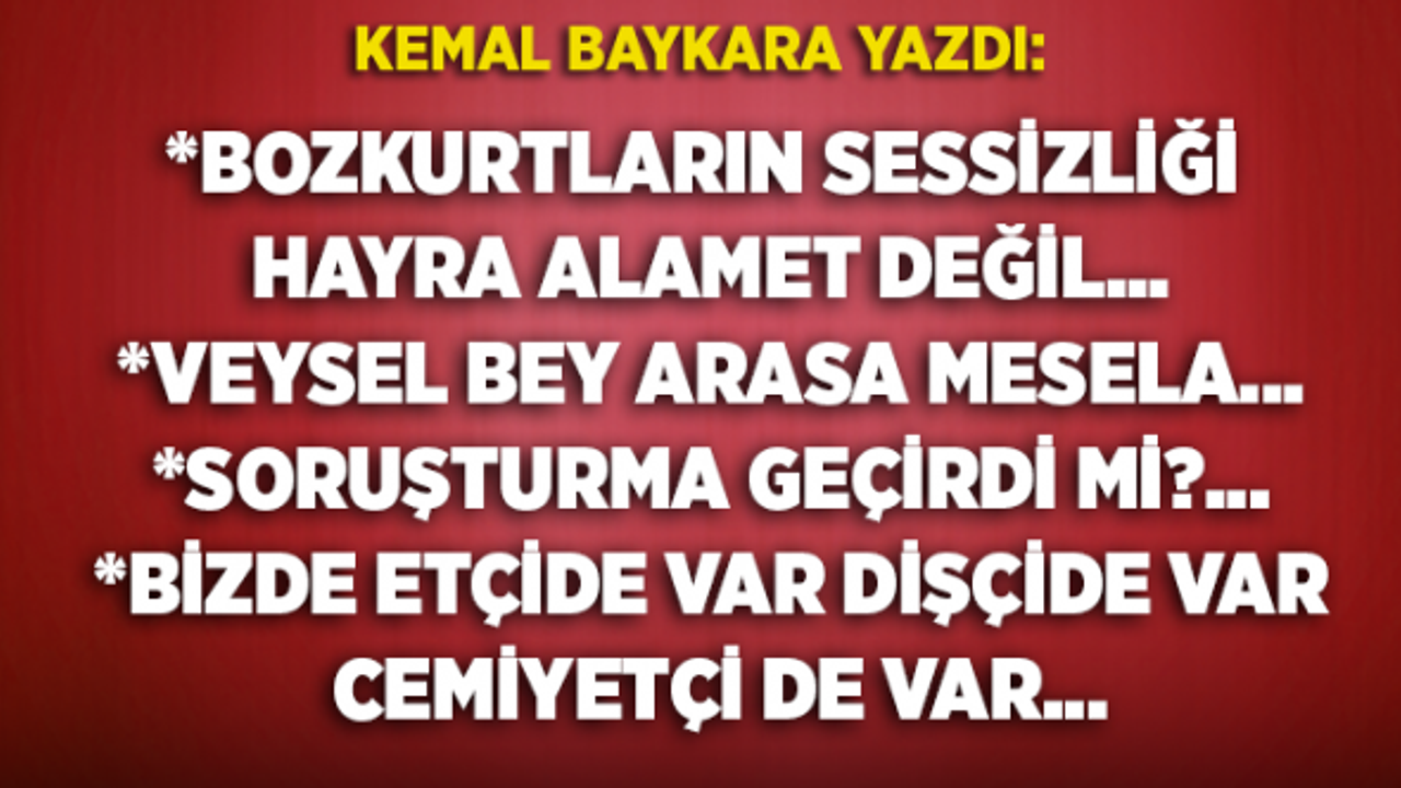 Kemal Baykara, Bozkurtların sessizliği diye yazdı