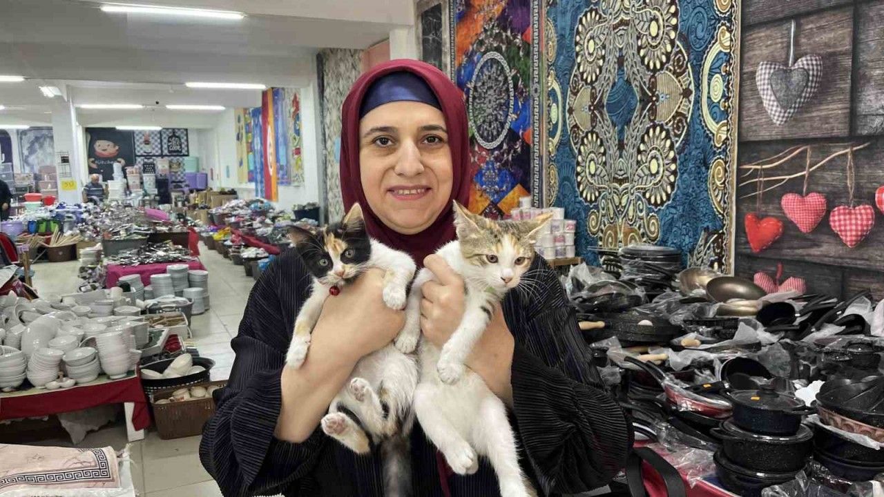 Eskişehir'de 50 yaşında sosyal medya ile hayvanlara yardım eli uzatıyor
