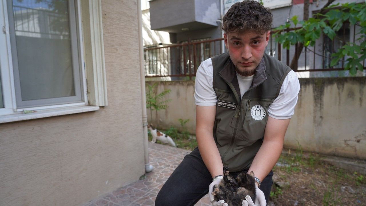Bilecik'te Mazgala Sıkışan Yavru Kediler Kurtarıldı