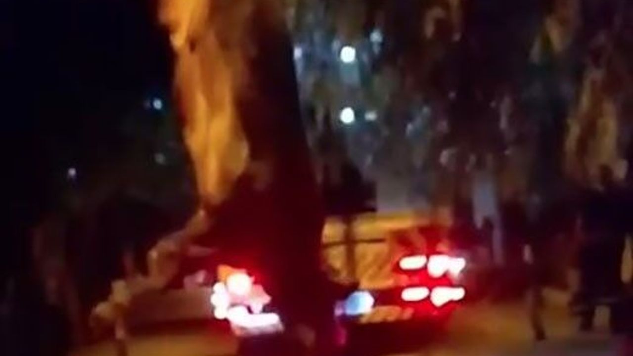 Dereye düşen kurbanlık dana vinçle kurtarıldı