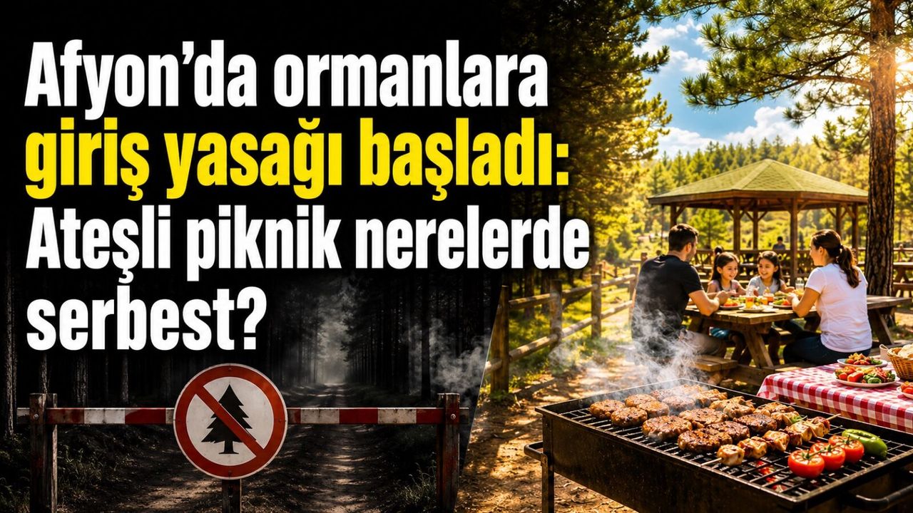 Afyon’da ormanlara giriş yasağı başladı: Ateşli piknik nerel