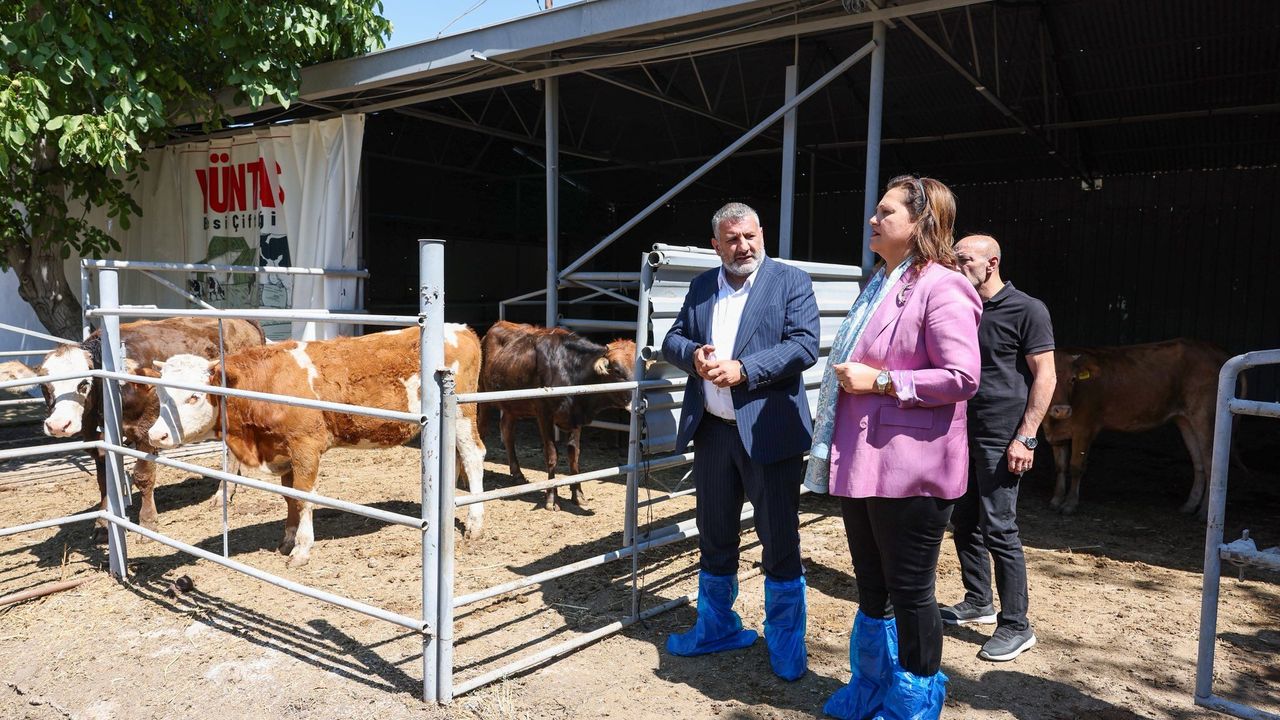 Burcu Köksal YÜNTAŞ Besi Çiftliği’ni inceledi: "Uygun fiyatlı ve kaliteli gıda için yeni adım"