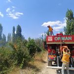 Afyon Sandıklı'da ot yangını paniğe neden oldu: Ağaçlık alan zarar gördü!