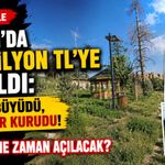 Afyon’da 110 milyon TL’ye yapıldı: Otlar büyüdü, ağaçlar kurumaya başladı, burası ne zaman açılacak?