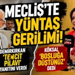 Meclis'te Yüntaş gerilimi: Köksal 'boşluğa düştünüz' dedi, Demirkırkan 'temcit pilavı' yanıtını verdi
