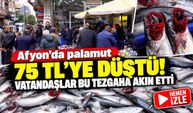 Afyon'da palamut 75 TL'ye düştü! Vatandaşlar bu tezgâha akın etti