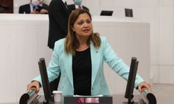 CHP'li Burcu Köksal: İlçeler uzman doktor, çiftçi destek bekliyor!