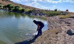 Afyon'da gölet ve barajlara 25 bin yavru balık bırakıldı