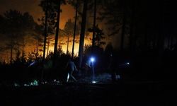 Kütahya'da orman yangını: 200 hektarlık alan yanıyor!