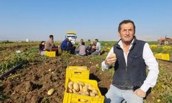 Afyon'da 2 belde 16 köyün yüzü gülüyor: Toprak anadan 150 bin ton patates bekliyorlar!