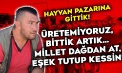 Afyonlu hayvan üreticisi: Üretemiyoruz, bittik artık… Millet dağdan at, eşek tutup kessin!