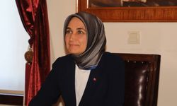 Vali Yiğitbaşı’ndan AFJET açıklaması: Endişem yok!