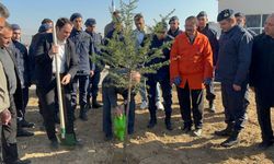 Afyon Bolvadin'de 600 fidan toprağa dikildi