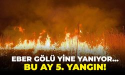 Eber gölü yine yanıyor... Bu ay 5. yangın!