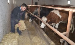 Afyonlu genç mühendis hibe desteğiyle besiciliğe başladı!