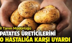 İl Tarım Müdürlüğü patates üreticilerini o hastalığa karşı uyardı!
