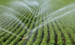Çiftçilerin su kullanım bedeline yapılacak yüzde 50 indiriminin uygulama şartları belirlendi