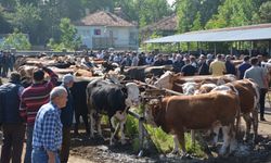 Hayvan pazarında kurbanlıklar görücüye çıktı