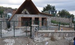 İzmir'de tartışma çıktı: Bir kişi silahla öldürüldü
