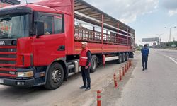 Afyon'da hayvan taşıyan araçlar denetlendi