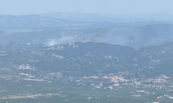 İzmir'in Kemalpaşa ve Menemen ilçelerinde orman yangını çıktı