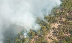 Bolu'da yıldırım düşmesi sonucu çıkan orman yangınına müdahale ediliyor