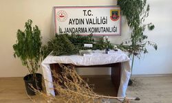 Aydın'da uyuşturucu operasyonunda 26 zanlı yakalandı